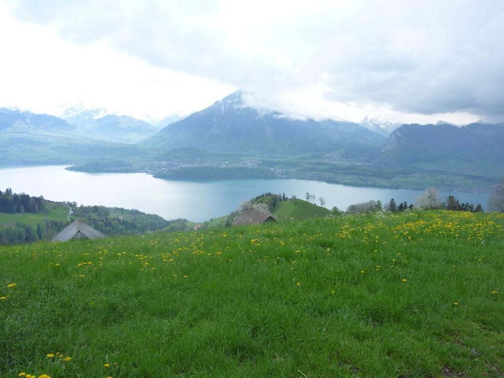 Hotel Restaurant Schwert Thun Bagian luar foto